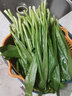 辰实云南大香菜 德宏缅芫荽 刺芫荽 傣族傣味香料 新鲜蔬菜 500g【新鲜云南大香菜】 实拍图