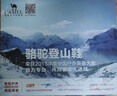 骆驼（CAMEL）户外登山鞋牛皮防滑耐磨高帮徒步鞋男防水专业徒步鞋女靴爬山运动 FB12234413，深卡其，男 41 实拍图