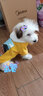 憨憨宠 狗狗衣服猫衣服宠物泰迪衣服冬季猫咪衣服小型犬衣服幼犬秋冬服 红色 花朵小背包卫衣 M号建议体重5-8斤 实拍图