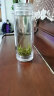 乐品乐茶茶叶明前绿茶特级雀舌新茶嫩芽春茶浓香型罐装100g 实拍图