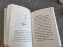 中国绘画史·古画微（插图本） （精装）中华书局国民阅读经典系列 实拍图