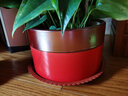 雅亭 鑫腾花卉 圆形塑料托盘 花盆托盘 托盘 圆形波浪边 塑料花盆盆栽 400型内口径30厘米 砖红色 实拍图