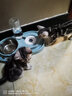 华元宠具华元 猫粮盆狗碗狗盆猫盆猫碗双碗狗狗猫食盆饭盆不锈钢宠物碗猫 围栏式 御纳蓝-店长推荐 实拍图
