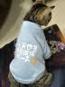 嬉皮狗（hipidog） 狗狗衣服秋冬季泰迪衣服小型犬保暖打底衫防掉毛比熊幼犬衣服 杏色小熊绒衣 S (建议体重4-6斤) 实拍图
