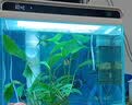 森森（SUNSUN） 超白玻璃小鱼缸客厅小型桌面家用水族箱生态免换水金鱼缸 HE480超白缸+假山景ZJ-18(内置棉和滤材) 实拍图