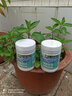 漫生活硫酸亚铁350g*2植物花卉肥料发财树多肉绣球茶花杜鹃茉莉花肥通用 实拍图
