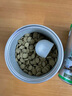 保拿仕沉底鱼食大颗粒约6.5mm招财猫专用饲料 蓝鲨鼠鱼底栖大型肉食鱼粮 保160g沉底型饲料 实拍图