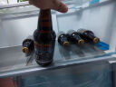 迷失海岸迷雾快艇/幽灵浑浊/香草拿铁/花生酱/象神/三倍IPA/美国进口精酿 迷雾快艇双倍IPA 355mL 6瓶 实拍图