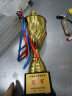 英友（ENYOU）金属奖杯定制篮球足球体育比赛年会颁奖学生儿童奖杯 盖形中号 实拍图