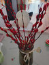 开时果 银柳鲜枝干花年宵花卉 红色真花福桶银柳水培植物室内装饰鲜花 A级银柳45cm20枝（喜庆红）+小灯笼2个 实拍图