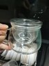 物生物（RELEA）玻璃杯男女士茶水分离办公泡茶杯双层耐高温花茶杯带把手 玲珑 320ml 实拍图