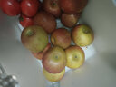 智田喜四川大凉山盐源丑苹果冰糖心脆甜红富士时令新鲜水果孕妇小孩可吃 丑苹果净重5斤/单果60-70mm 实拍图