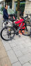 RALEIGH 铝合金山地自行车成人赛车油碟线碟男青少年变速越野车英国兰令 27速-曜夜黑 29英寸(180-195cm身高) 实拍图