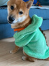 憨憨宠 狗狗衣服 猫衣服宠物衣服变身装猫咪衣服中小型犬幼犬秋冬服装 登峰造极款 XL号建议体重10-18斤 实拍图