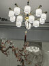 灯尉仕 新中式客厅吊灯中国风餐厅简约大气卧室灯古典家用别墅灯具套餐 15头-配全光谱三色光源 实拍图