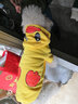 憨憨宠 猫衣服狗狗衣服宠物猫咪衣服冬季幼猫成猫两脚搞笑变身装布偶蓝猫英短泰迪衣服猫咪用品 小黄鸭款 XL码 建议10-18斤以内宠物 实拍图