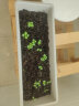 美乐棵 通用型营养土8L/袋园艺种植基质土花土肥料盆栽绿植复合基质土 实拍图