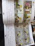 笑读成语：画给孩子的趣味成语故事（全4册）小学生爆笑漫画成语 儿童故事画  实拍图