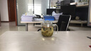 全度（Quandu）玻璃茶壶耐热玻璃泡茶壶花茶壶可明火加热煮茶壶企鹅壶 玻璃壶600ML 实拍图
