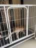 蔻丝狗笼子小型犬中型犬室内家用带厕所分离折叠免安装狗笼子柯基柴犬 加粗特厚方管【62*46*52】柯基  实拍图