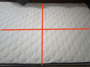 南极人泰国乳胶床垫学生宿舍120*200cm 6D抗压棉加厚 床褥榻榻米垫 实拍图