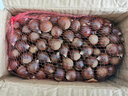 采缇高山油锥栗生新鲜板栗建瓯本地甜糯油栗子圆椎榛子野生小毛栗批发 圆锥中果 新顾客5斤+开口器 实拍图
