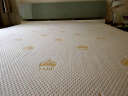 泰嗨（TAIHI）乳胶床垫泰国原装进口天然乳胶床垫可折叠可定制榻榻米床垫子 颗粒按摩  200*150*7.5CM 实拍图