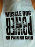 MUSCLE DOG 肌肉狗背心男 夏季宽松无袖快干吸汗坎肩运动健身训练 浅蓝色 L 实拍图