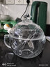 乐唯诗（NERVISHI）玻璃杯高颜值水杯透明玻璃牛奶杯带把ins风奶茶杯早餐杯茶杯 星球杯【透明】 320ml 1只 实拍图