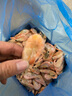 4斤带籽北极甜虾即食北极虾冰虾刺身海鲜水产海鲜礼盒 2000g 6-8cm 实拍图