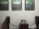 山水（SANSUI） M2胆机HIFI音效电子管CD\DVD机组合桌面发烧级蓝牙音响电视影院书架套装木质电脑办公室茶室音箱 M2套装（胆机功放+碟机层+木架） 实拍图