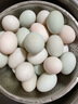 豫宛农夫农家散养生鸭蛋 鲜土鸭蛋  新鲜发货 30枚装 单枚60-70g 实拍图