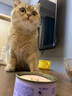 海洋之星 宠物猫狗零食即食胶原浓汤包幼猫狗狗零食湿粮罐头营养品补水 美毛护肤 鱼肉汤 100g 实拍图