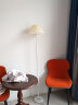 杜君床头落地灯卧室客厅北欧简约现代沙发旁边氛围装饰阅读灯立式地灯 实拍图