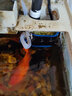格池（GRECH）鱼缸过滤器上部过滤三合一抽水泵水族箱冲氧净水增氧过滤泵滴流盒 2.5W(适合长:22-39cm鱼缸)不带滤盒 实拍图