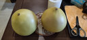 思卓（SIZHUO）福建红心柚子  红肉蜜柚新鲜水果中秋礼盒团购三红时令柚子 实拍图