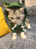 狗狗衣服小中型犬泰迪博美猫咪秋冬新款宠物服饰抓绒卫衣卡通比熊 青蛙卫衣(抽绳款) S(适合3-5斤) 实拍图