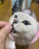久生（Joyzone）无谷高肉全价猫粮奶糕幼猫成猫英短蓝猫布偶全阶段通用营养猫主粮 久生成猫粮【2kgx3袋】 实拍图