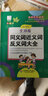青苹果2020新版·小学生全功能易错易混多音多义字大全 实拍图