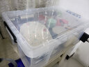 禧天龙直角加厚收纳箱大号透明抗压衣物收纳整理箱储物箱水产养殖箱 43升【66x44.1x23厘米】 【一个装】加厚抗压 实拍图