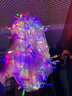  京云灿满天星LED彩灯灯串春节过年场景布置小彩灯节日氛围装饰户外亮化变色防水串灯50米七彩 实拍图