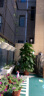 爱优尚爱优尚大型绿萝柱盆栽植物室内客厅办公室除甲醛四季绿植 1.5m【原装塑料盆】 实拍图