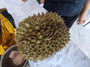 爱鲜莱泰国进口金枕头榴莲 单果4-5斤 液氮冷冻新鲜榴莲生鲜水果 晒单实拍图
