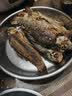 猫扑鱼（mao pu yu）微山湖生态鲫鱼(净膛) 淡水鱼现捕现杀 生鲜 老人孕产妇炖汤 一斤中号鲫鱼（每斤4-6条） 实拍图
