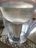 聚蓝（bluetech） HS-530三代双芯过滤直饮净水壶去水垢除菌除氯家用自来水过滤水壶滤水器 囤货必选装【1壶14芯】白色 实拍图