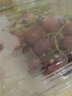 京鲜生 进口红地球（Red Globe）红提 900g装 新鲜葡萄提子 生鲜水果 实拍图