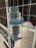 华元宠具狗狗饮水器挂式猫咪自动喂水喝水器泰迪水碗宠物猫笼悬挂自动饮水 【推荐】笼养挂式 蓝色 473ml 实拍图