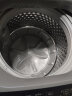 小天鹅(LittleSwan)波轮洗衣机全自动 10KG大容量波轮 以旧换新 健康除螨洗 免清洗 不锈钢内桶TB100VC123B 实拍图
