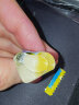 meito盐柠檬味维生素C硬糖63g 日本进口名糖儿童零食喜糖 实拍图