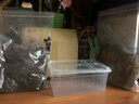 宠以沫（CHONG YIMO）乌龟冬眠用品过冬装备套装小房子专用沙土无菌土蛭石苔藓爬宠垫材 小号盒+椰土+苔藓+喷壶 实拍图